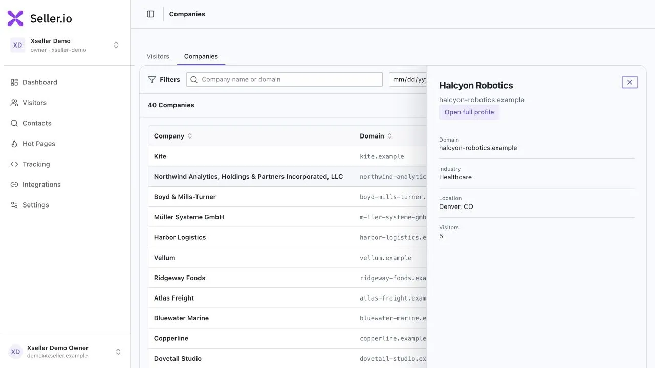 XSeller Companies screen with Halcyon Robotics resolved from synthetic demo traffic